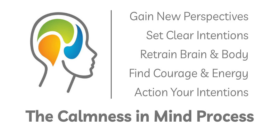 The Owner's Manual for your Brain and Body